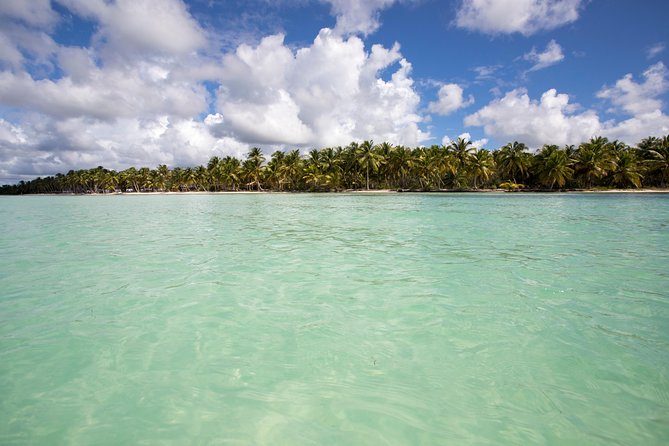 Saona Island Day Trip From Punta Cana with Lunch and Open Bar - The guides can make or break the mood
