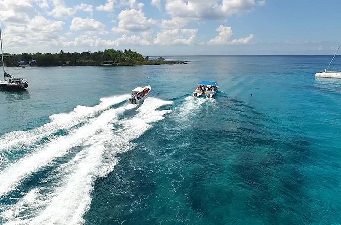 Saona Island Excursion by Catamaran and Speedboat - Is $95 a fair price?