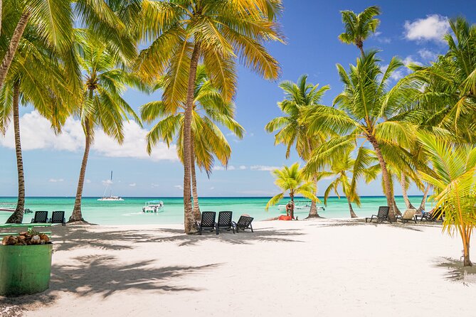 Saona Island Excursion from Bayahibe - Boat changes are the main practical concern