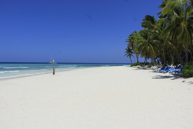Saona Island Excursion From Punta Cana - The natural swimming pool stop