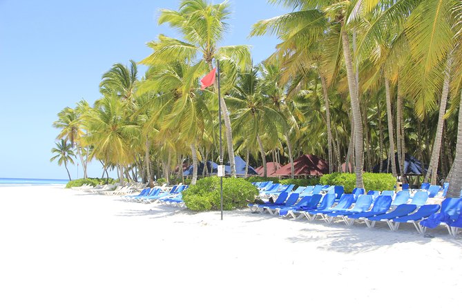 Saona Island Excursion From Punta Cana - Saona Island: beach time, lunch, and sellers