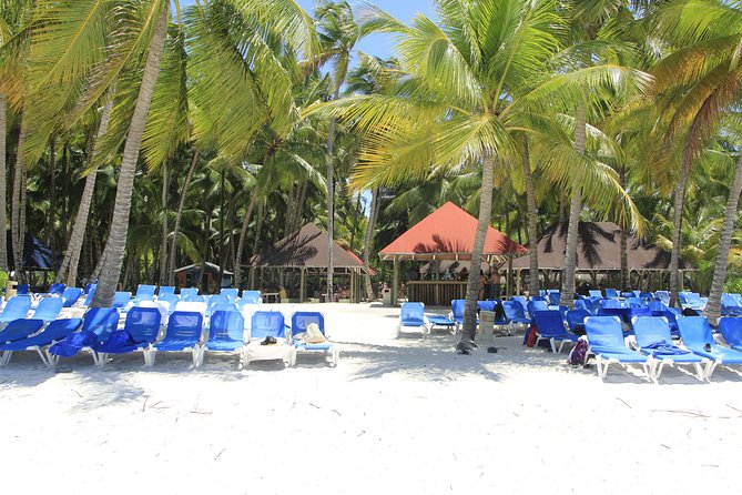 Saona Island Excursion From Punta Cana - The catamaran ride back to Bayahibe