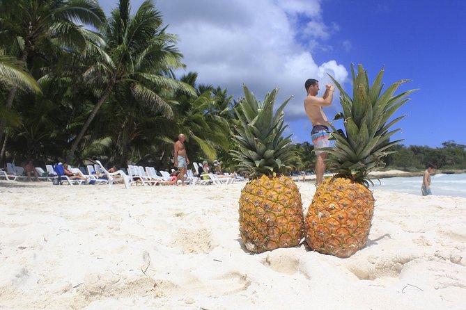 Saona Island Excursion From Punta Cana - Guides, communication, and group handling