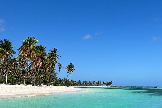 Saona Island for Marella Discovery Passengers from La Romana Port - Key points at a glance