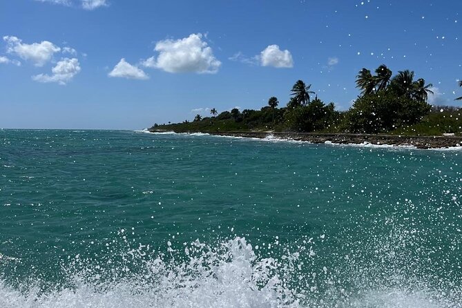 Saona Island for Marella Discovery Passengers from La Romana Port - Mano Juan, where Saona feels lived in