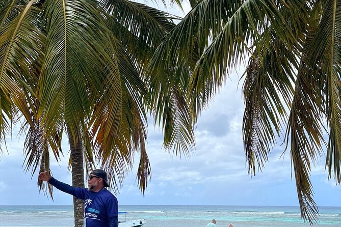 Saona Island for Marella Discovery Passengers from La Romana Port - The natural pool and Saona’s starfish