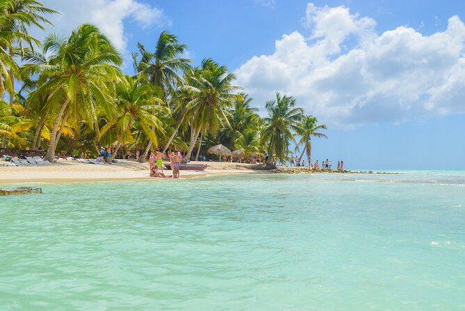 Saona Island Full-Day All-Inclusive Tour from Santo Domingo - Who should book this Saona tour?