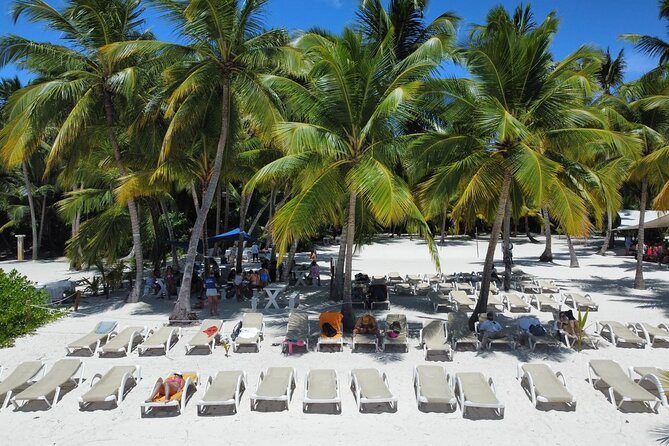 Saona Island: Full-day Catamaran Tour - Small Group - Why this Saona day trip feels different
