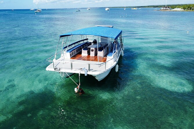 Saona Island: Full-day Catamaran Tour - Small Group - Who will enjoy this boat trip most