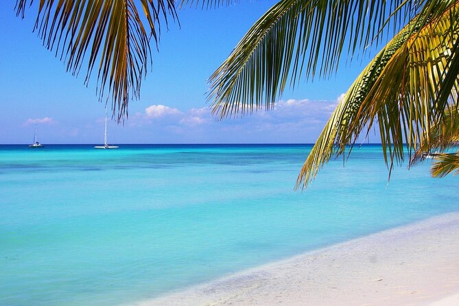 Saona island full day tours - catamarán party from santo domingo - Who should book this Saona excursion?