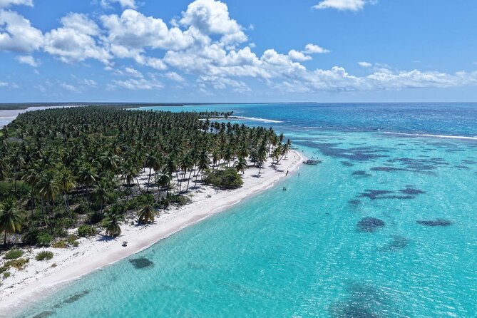 Saona Island Premium Discovery Tour from Punta Cana or Bayahíbe - Key details before you book