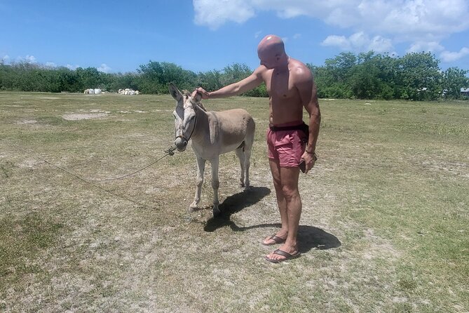 Saona Island Premium Discovery Tour from Punta Cana or Bayahíbe - Mano Juan: lunch and island life