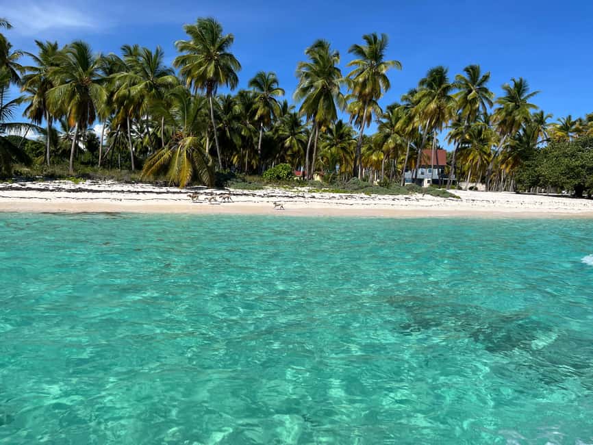 Saona Island: Small Group Virgin Beaches Cruise Day Trip - Why this Saona trip feels different