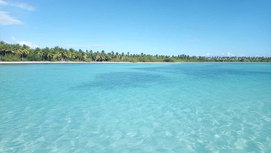 Saona Island: Small Group Virgin Beaches Cruise Day Trip - What the day does well, and where it falls short