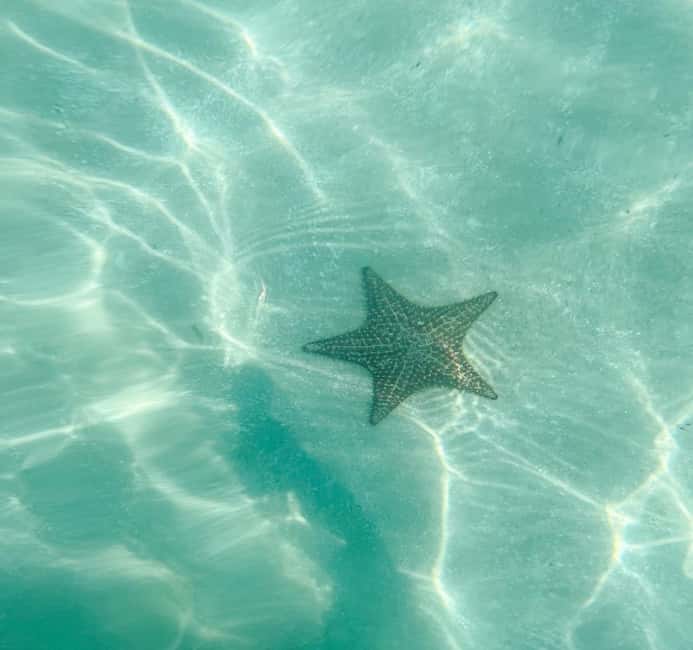 Saona Island Tour All Inclusive Speedboat and Catamaran - What to bring and what to leave behind