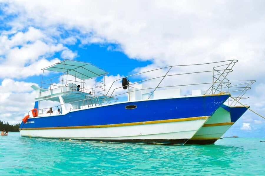 Saona Island Tour From Santo Domingo with Lunch and Pickup - Key points at a glance