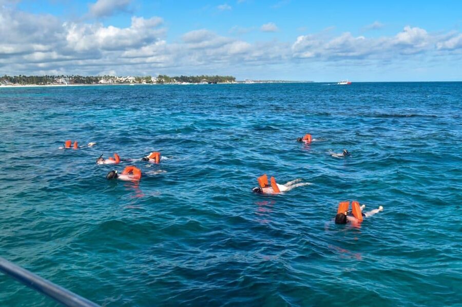 Saona Island Tour From Santo Domingo with Lunch and Pickup - A lively catamaran ride back to Bayahibe