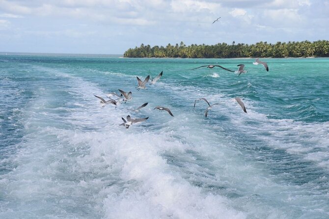 Saona, Mano Juan, Canto de la playa away from the tourist crowds - Dominican lunch, drinks, and the lobster choice