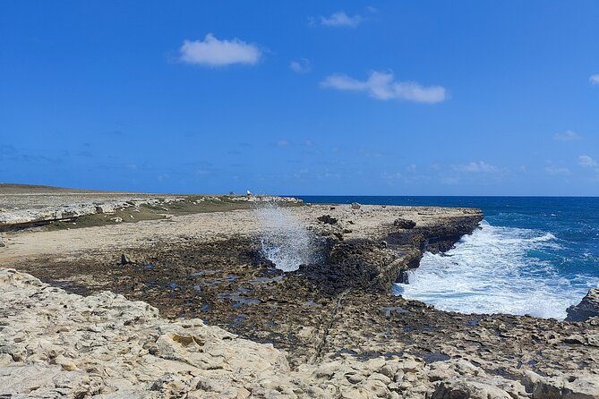 Scenic Full Day Tour of Antigua - Fig Tree Drive through the greener interior