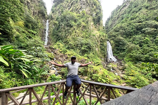 Scenic Tour of City and Rainforest, Waterfall, Sulphur Springs . - Key points to know before you book