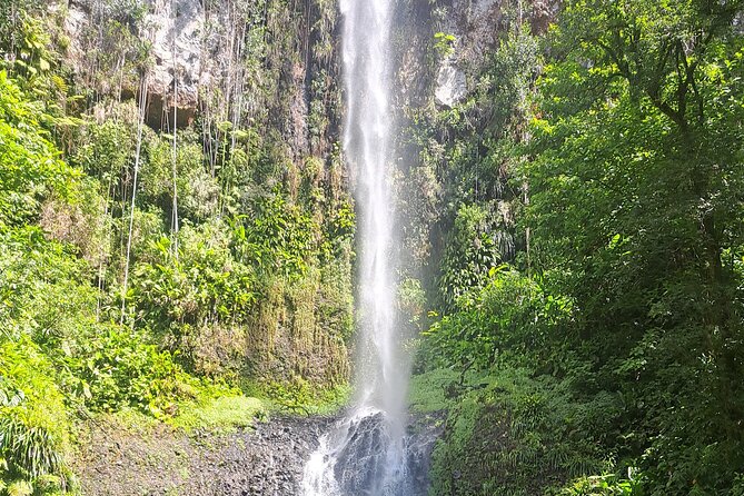 Scenic Tour of City and Rainforest, Waterfall, Sulphur Springs . - The roads, vehicle, and group size