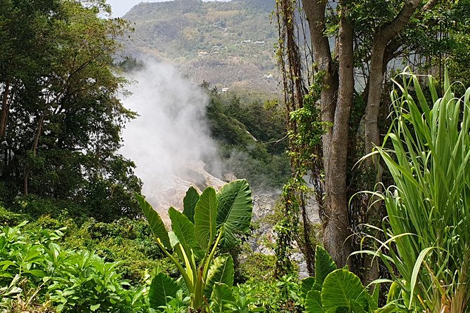 Scenic Tour of Soufriere - Toraille Waterfall offers a cool change