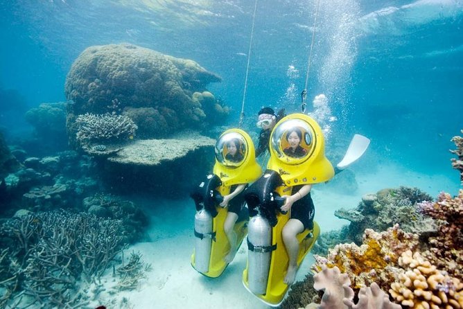Scuba Doo Diving Experience in Punta Cana - What the $61 price really covers