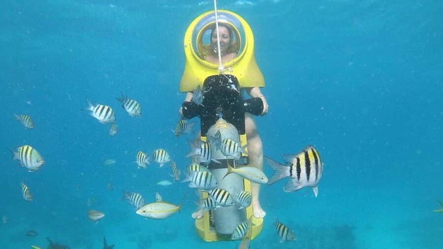Scuba Doo - Diving Scooters in Punta Cana - Coral, fish, and the underwater view