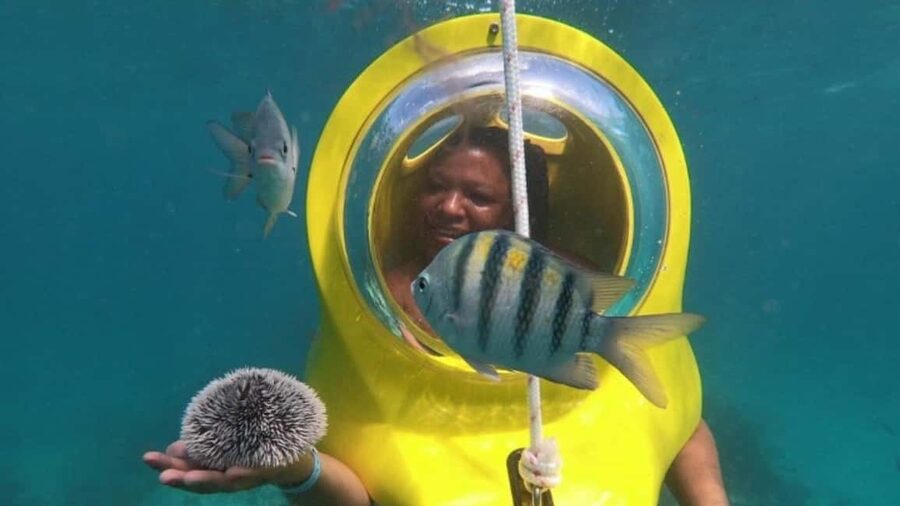Scuba Doo - Diving Scooters in Punta Cana - Shared pickup and the real timing