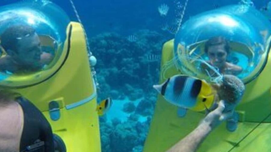 Scuba Doo - Diving Scooters in Punta Cana - Who should book this experience