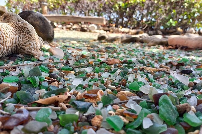 Sea Glass Island Aruba Tour - The rocky shore is the main practical challenge