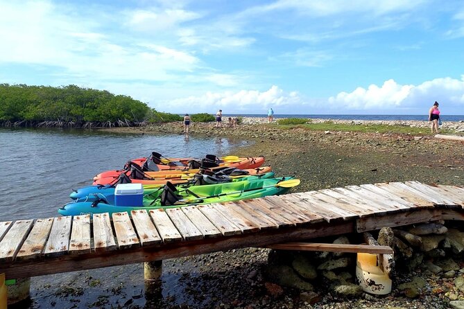 Sea Glass Island Aruba Tour - Who will enjoy this most?