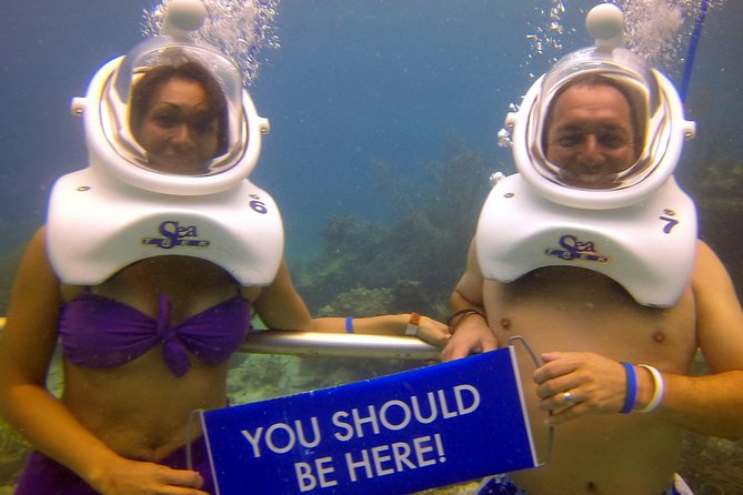 Sea Trek Helmet Dive at Coral World Ocean Park - The underwater route and marine life