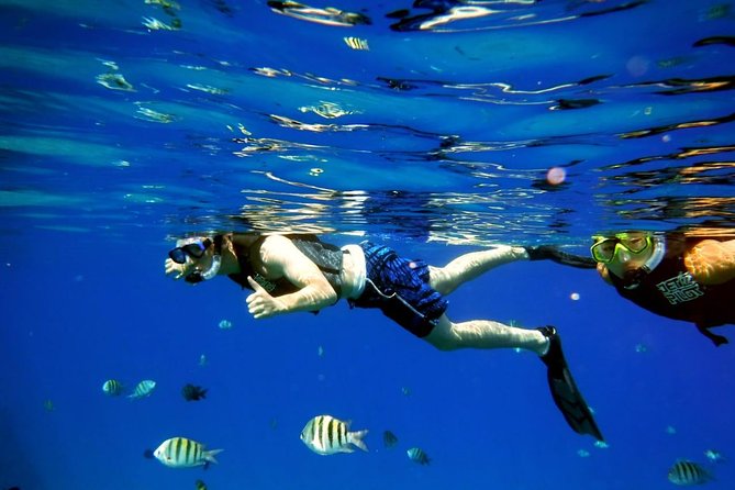 Shared 2 hours Sosúa Bay Snorkeling with Professional Guide - Key points at a glance