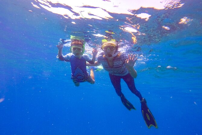 Shared 2 hours Sosúa Bay Snorkeling with Professional Guide - Getting fitted at Dive Cabarete