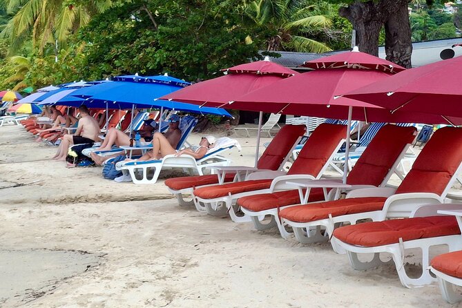 Shared Tour: Annandale Waterfalls, Forts & Grand Anse Beach. - A smart way to see Grenada from the port