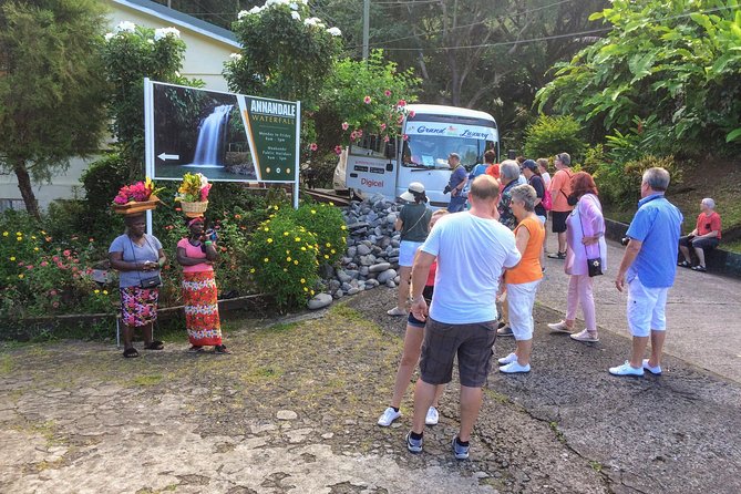 Shared Tour: Annandale Waterfalls, Forts & Grand Anse Beach. - Fort Frederick and the harbor view