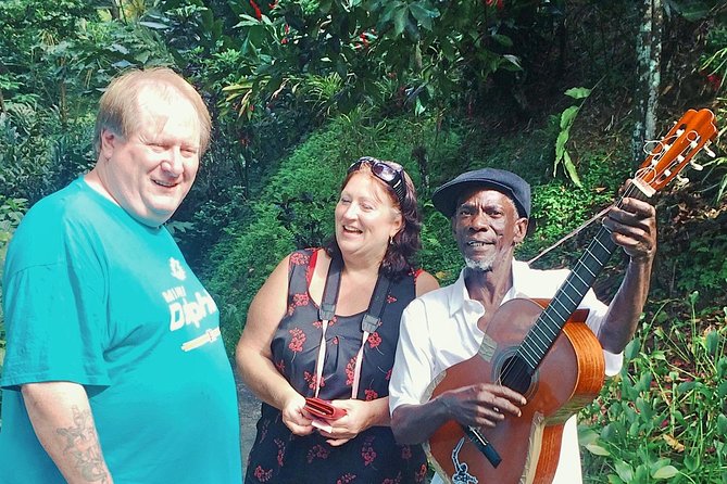 Shared Tour: Annandale Waterfalls, Forts & Grand Anse Beach. - The Craft and Spice Market finish