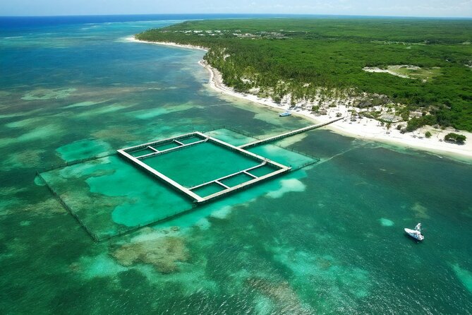 Sharks & Stingrays Snorkeling in Punta Cana with Parasailing - Parasailing above the Punta Cana water