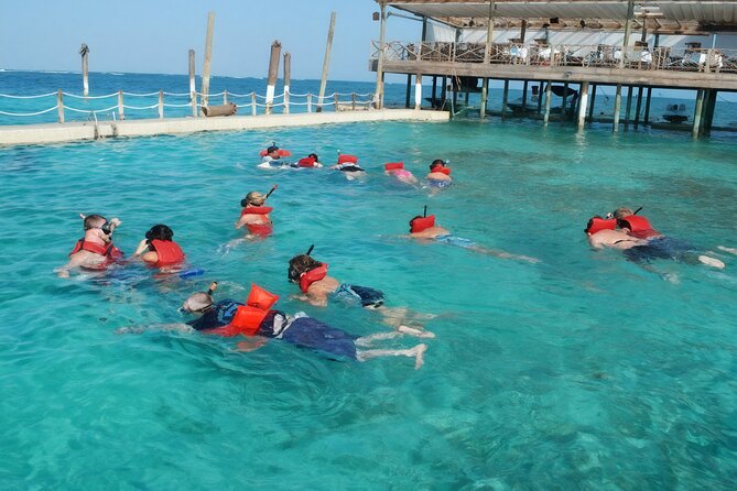 Sharks & Stingrays Snorkeling in Punta Cana with Parasailing - Who will enjoy this tour most?