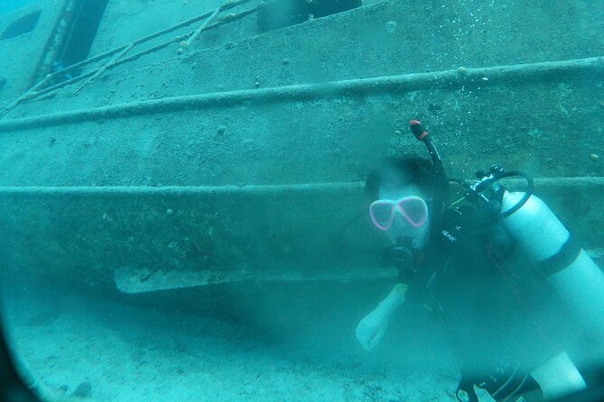 Shore Dive Aruba for Certified Divers - What the two-hour outing feels like