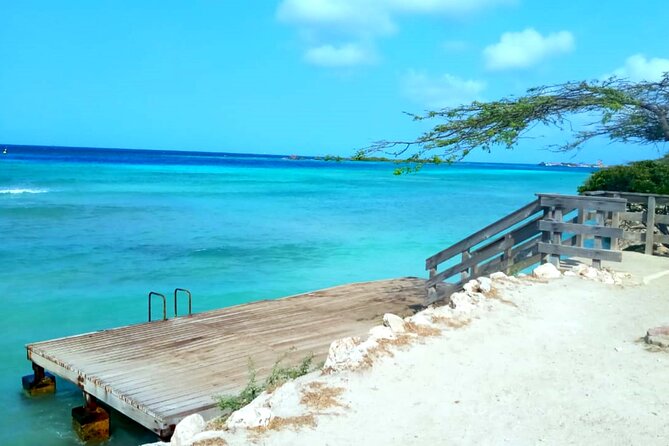 Shore Dive Aruba for Certified Divers - Fish, reef details, and the role of the guide
