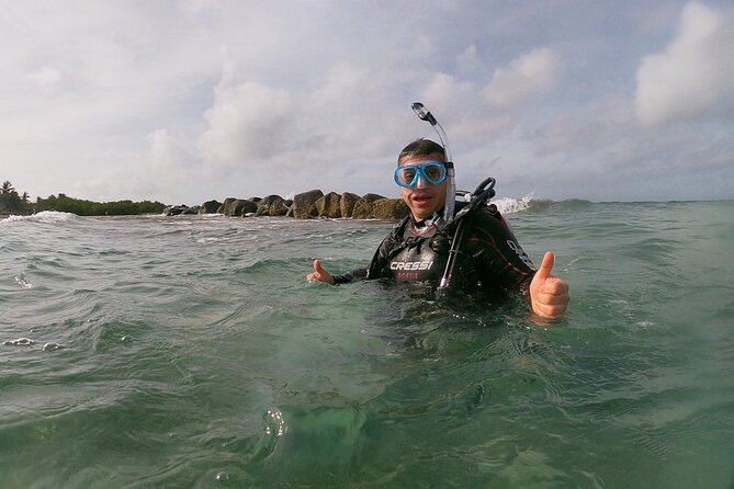 Shore Dive Aruba for Certified Divers - Small groups make the price easier to judge