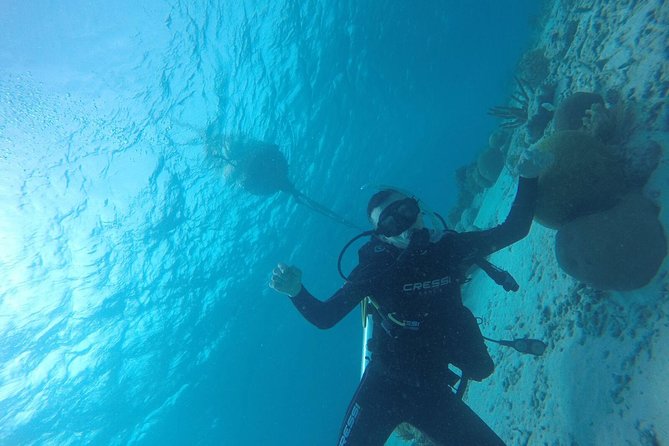 Shore Dive Aruba for Certified Divers - The shore entry deserves honest attention