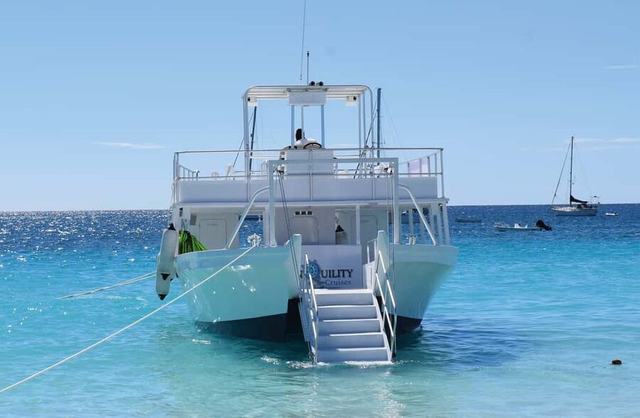Shore Excursion Barbados Beach Day & Turtle Swim Experience - Key points to know before booking