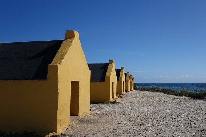 Shore Excursion: North and South Sides of Bonaire - Cactus liqueur or a small cultural museum