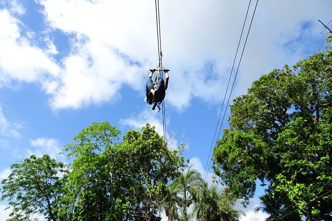 Shore Excursion: Quick Zip and Waterfalls of Damajagua Adventure - Is the $94.99 price good value?