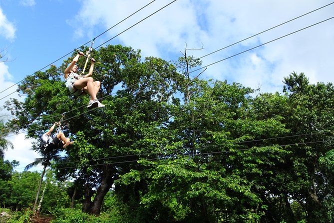 Shore Excursion: Zip Line Adventure - What the Eight-Line Course Feels Like