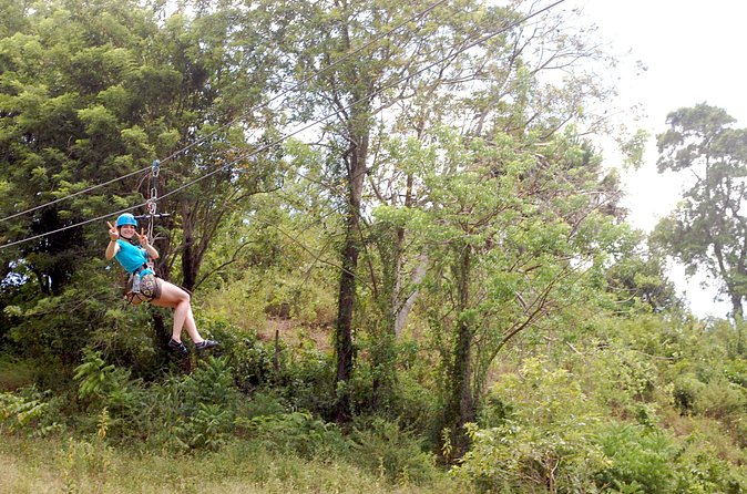 Shore Excursion: Zip Line Adventure - Physical Requirements and Size Limits