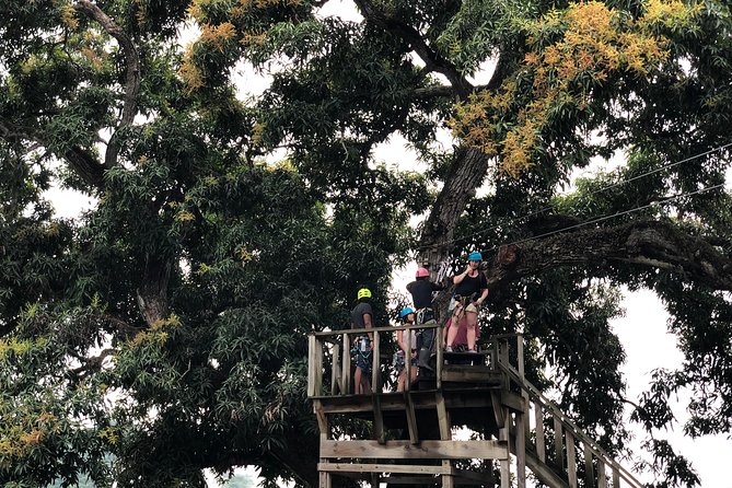 Shore Excursion: Zip Line Adventure - Who Will Enjoy This Zipline Excursion?